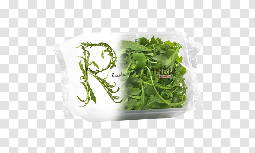 Arugula Salad Vegetable Fruit Spinach - Spring Greens Transparent PNG