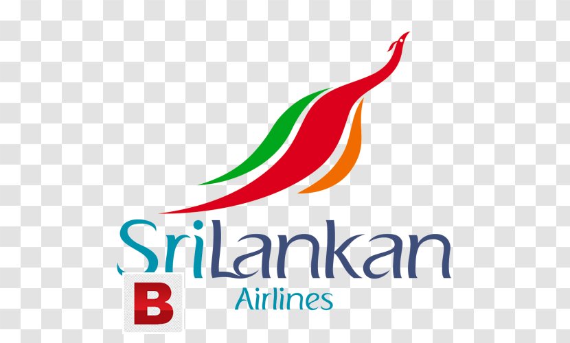 Bandaranaike International Airport SriLankan Airlines Trivandrum Flag Carrier - Travel Transparent PNG