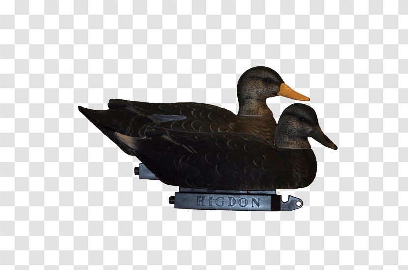 Mallard Duck Decoy Super Magnum Goose - Rogers Sporting Goods Transparent PNG