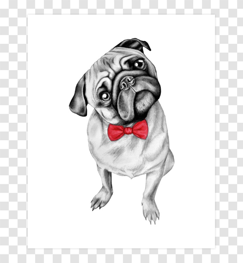 Pug Shar Pei Miniature Schnauzer Giant French Bulldog - Puppy Transparent PNG