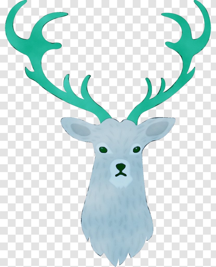 Reindeer - Paint - Wildlife Horn Transparent PNG