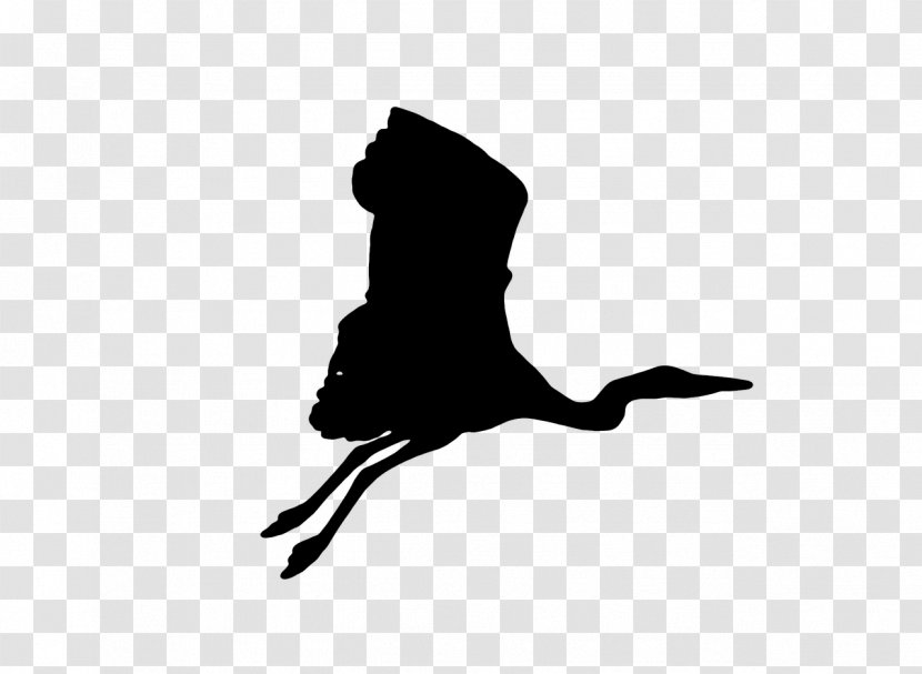 Crane Bird Silhouette - Logo Transparent PNG