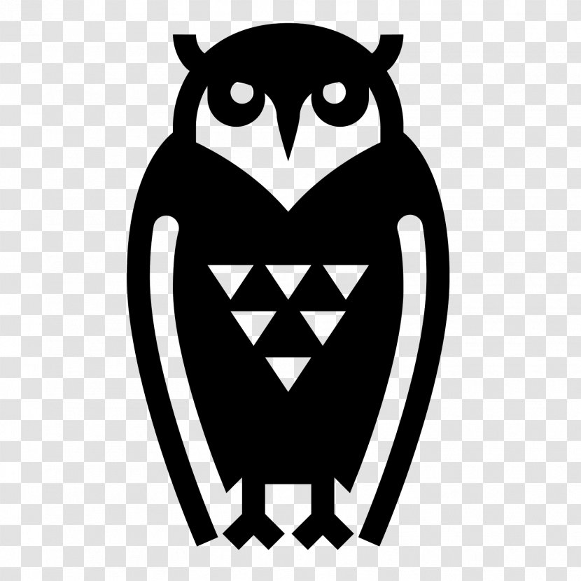 Owl Bird - Cartoon Transparent PNG