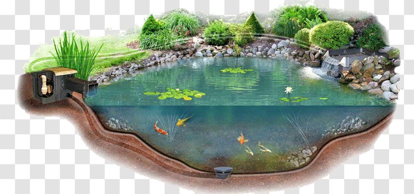 Pond Liner Garden Water Aquatic Plants - Landscape Transparent PNG