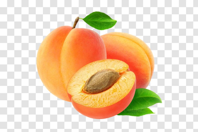 Clip Art Transparency Image Apricot - Natural Foods - Nectarine Transparent PNG