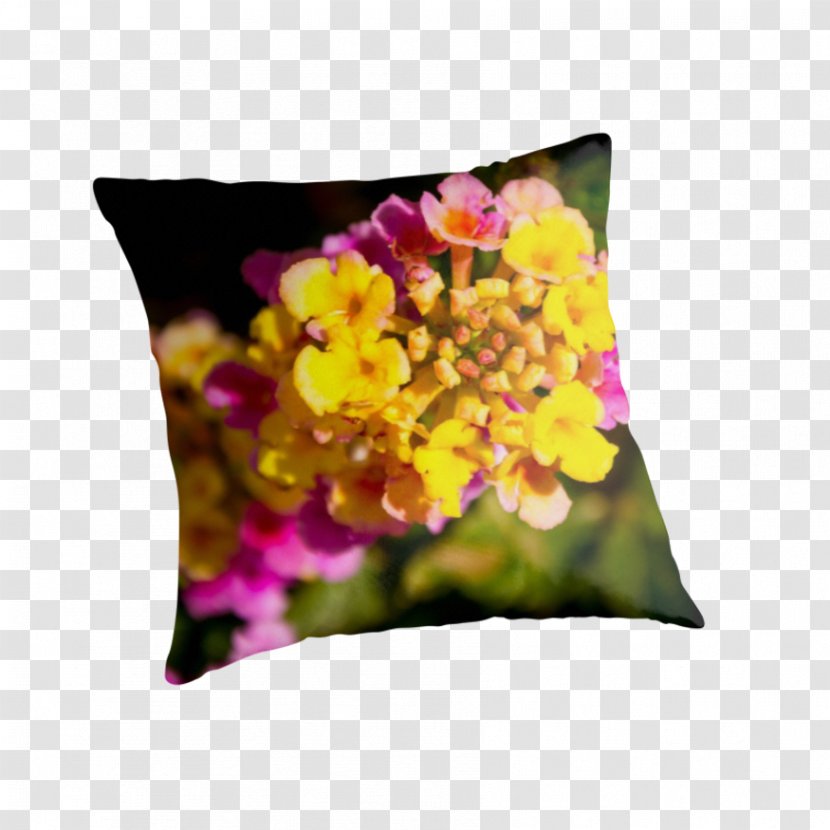 Throw Pillows Cushion Violet Family - Petal - Pillow Transparent PNG