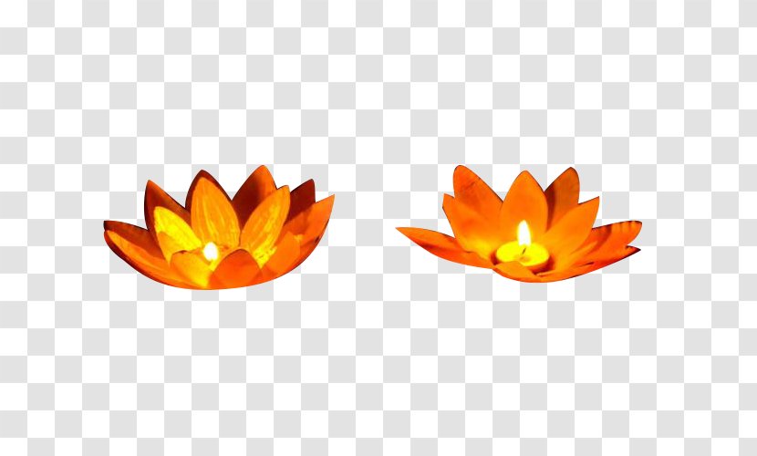 Download Lamp - Pixel - Lotus Lanterns Picture Material Transparent PNG