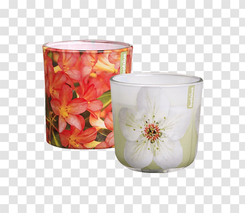 Candle Bolsius Group Hellweg Price Transparent PNG