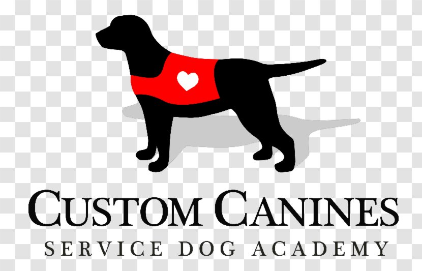 Labrador Retriever Puppy Dog Breed Golden Custom Canines Service Academy Transparent PNG