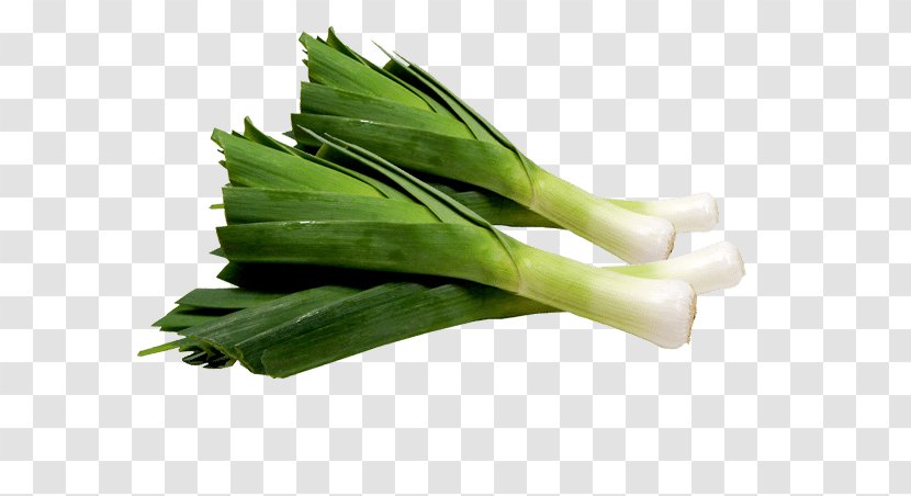 Leek Vegetable Garlic Fruit Onion - Herb - CEBOLLA Transparent PNG