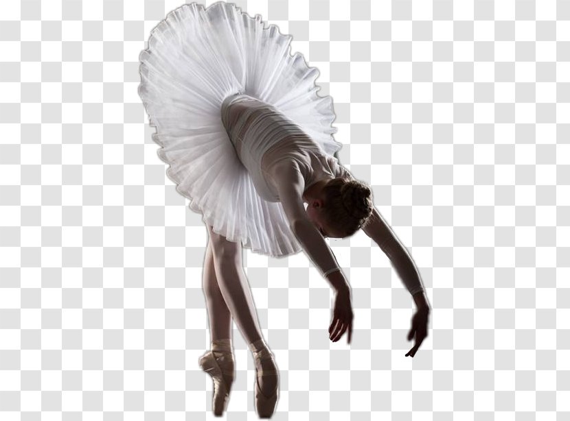 Ballet Dancer Photography - Heart Transparent PNG
