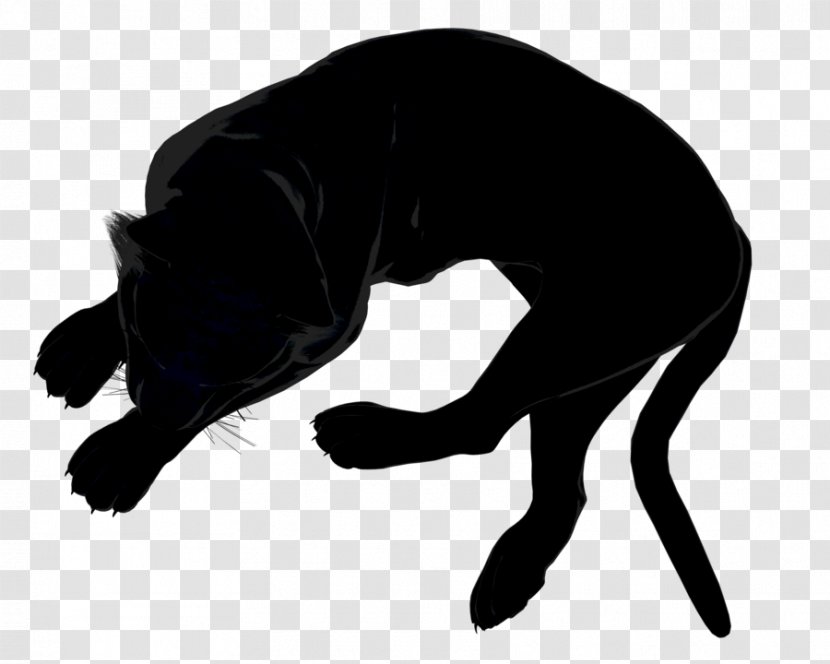 Dog Brill (Wuppertal) Cat Mammal Junior-Uni Wuppertal - Organism - Mad Angry Black Transparent PNG