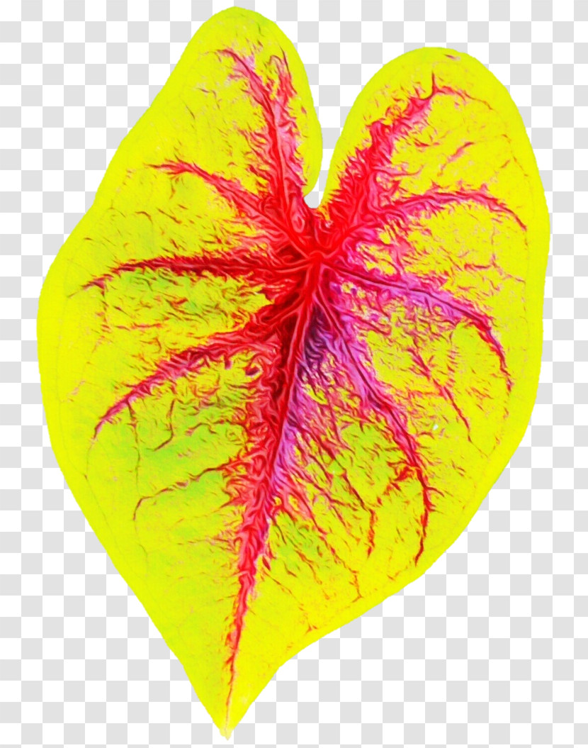 Leaf Yellow Petal Heart M-095 Transparent PNG