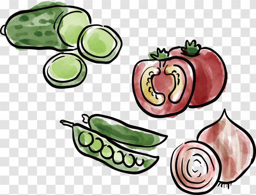 Child Clip Art - Food - Children Hand-painted Vegetables Transparent PNG