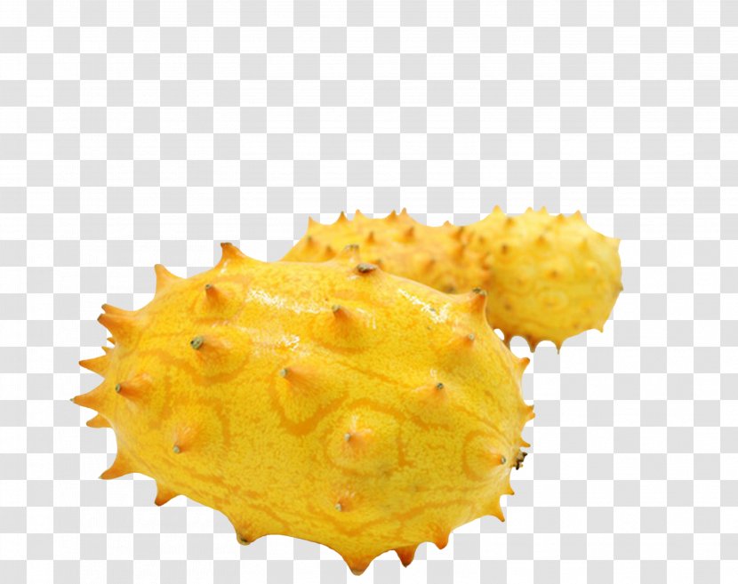 Horned Melon Muskmelon Cucumber Fruit - Silhouette - Free To Pull The Image Transparent PNG