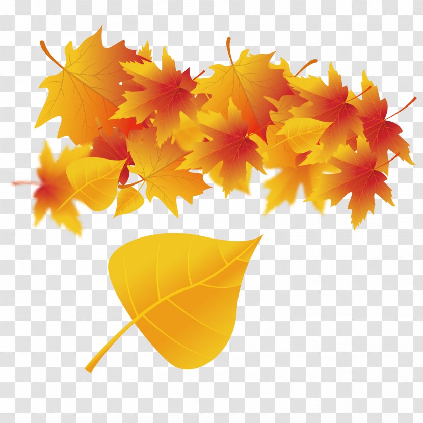 Maple Leaf Autumn Poster - Yellow Transparent PNG