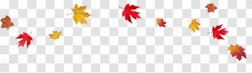 Autumn Leaf Color Desktop Wallpaper Clip Art - Thanks Giving Transparent PNG