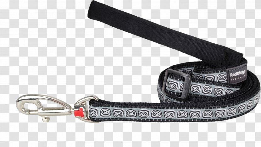 Leash Dog Collar Dingo - Stainless Steel Transparent PNG