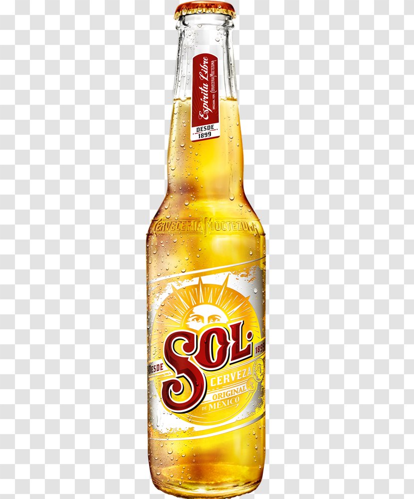 Beer Lager Corona Molson Coors Brewing Company Pilsner - Alcoholic Drink - Calculadora Transparent PNG