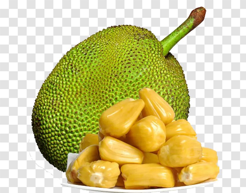 Sanya Jackfruit Pineapple Bun Cempedak - Superfood - Tree Transparent PNG