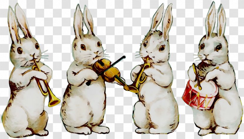 Domestic Rabbit Easter Bunny Hare - Snowshoe Transparent PNG