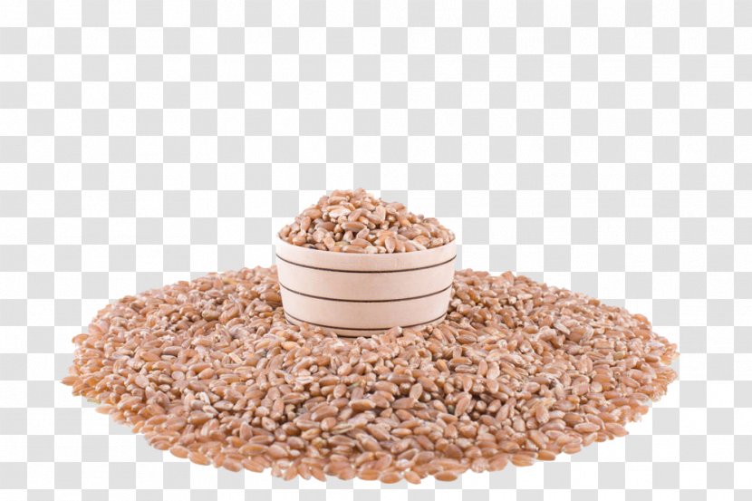 Wheat Cereal Seed Grain - A Small Bowl In The Transparent PNG