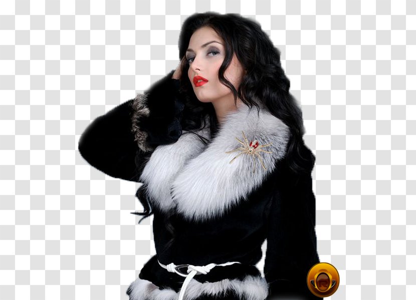 Fur Image GIF Female Woman - Photography Transparent PNG