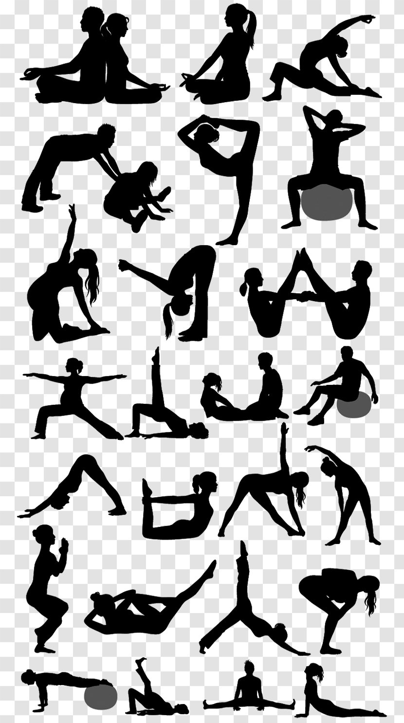 Silhouette Physical Fitness Pilates Yoga - Joint Transparent PNG