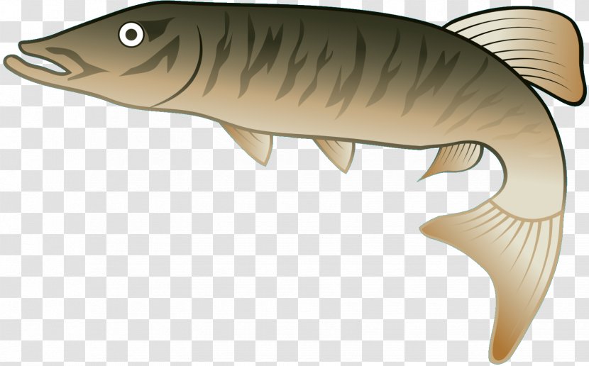 Fish Fauna Jaw - Bass Transparent PNG