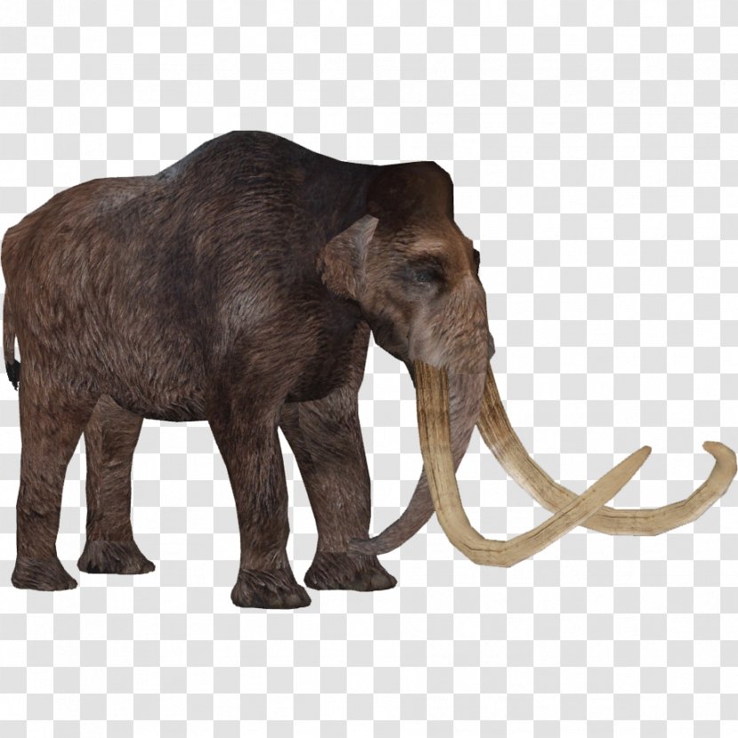 African Elephant Woolly Mammoth Indian Tusk Elephants - Zoo Tycoon 2 - Extinct Animal Transparent PNG