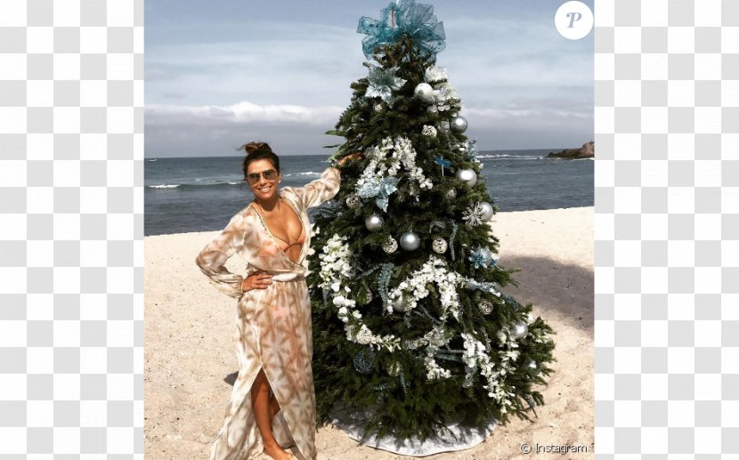 Christmas Tree Actor Celebrity Female - Helen Lasichanh - Eva Longoria Transparent PNG