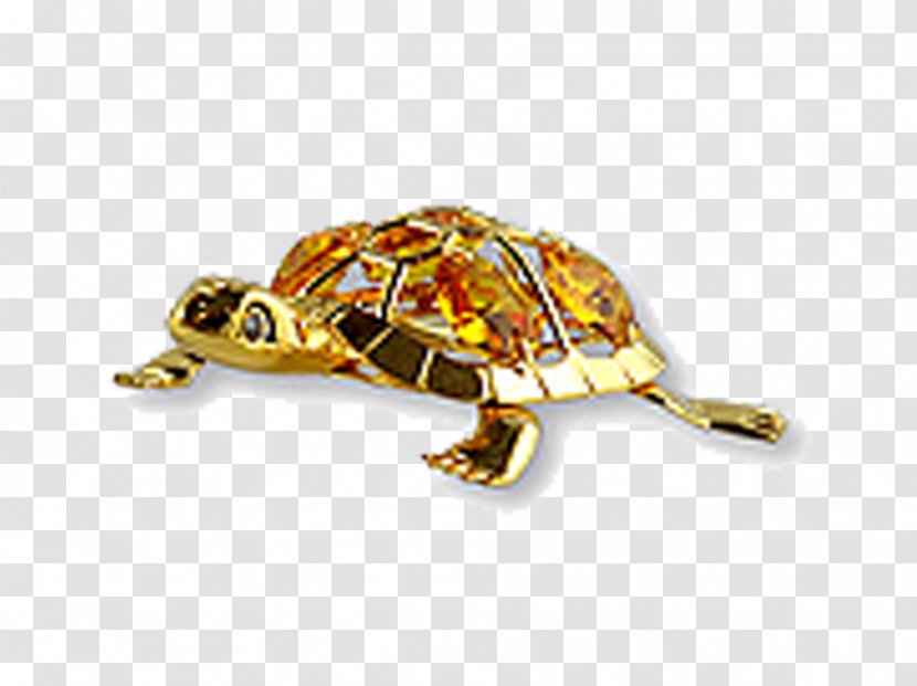Turtle Tortoise - Yellow - Golden Transparent PNG