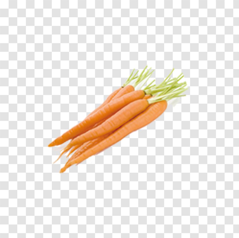 Juice Oil Vegetable Daucus Carota Food - Fruit - Carrot Transparent PNG