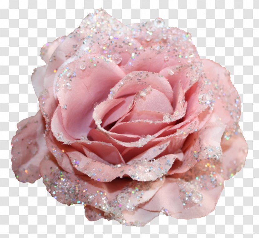 Centifolia Roses Flower Glitter Textile - Peach - Cloth Transparent PNG