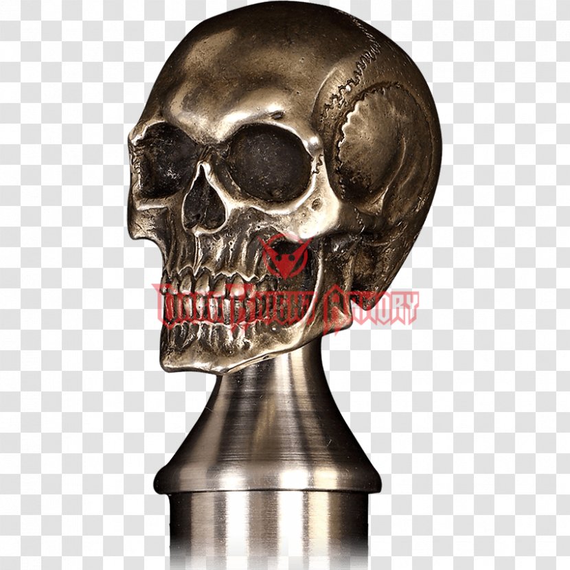 Human Skull Skeleton Bone Jaw Transparent PNG