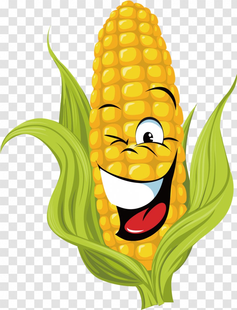 Corn On The Cob Clip Art Sweet Field - Vegetable Transparent PNG