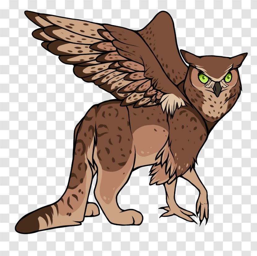 Cat Owl Hawk Clip Art - Fauna Transparent PNG