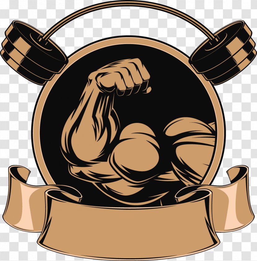 Fitness Centre Bodybuilding Weight Training Physical - Illustration - Vector Barbell Transparent PNG