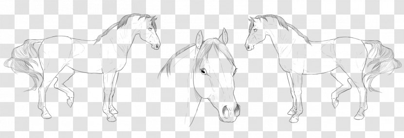 Mane Mustang Halter Pack Animal Sketch - Drawing Transparent PNG