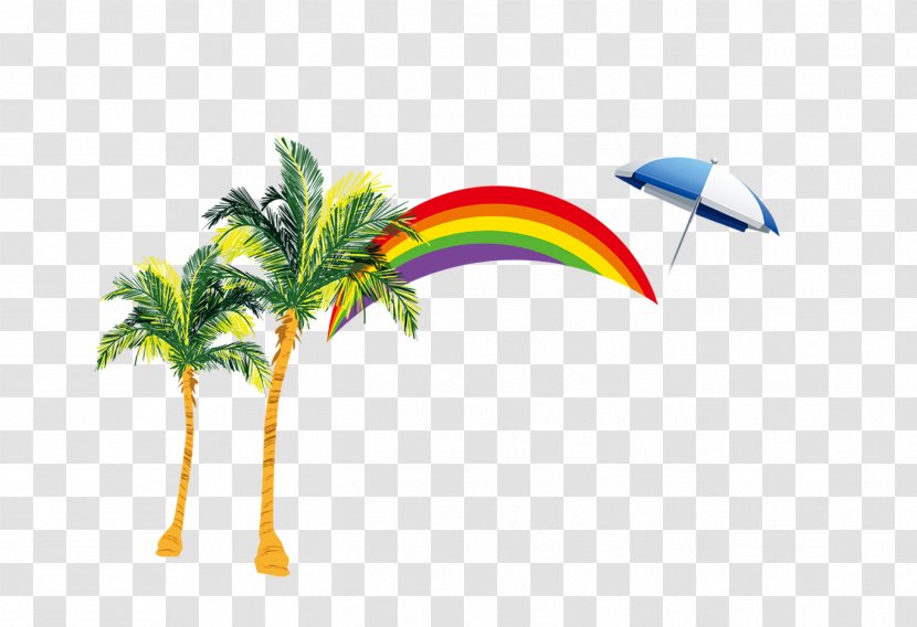 Sandy Beach Nata De Coco Coconut - Rainbow Palm Transparent PNG