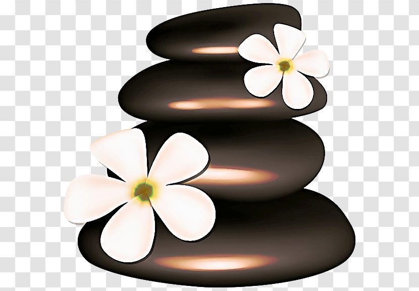 Frangipani Clip Art Petal Plant Flower - Symbol Transparent PNG