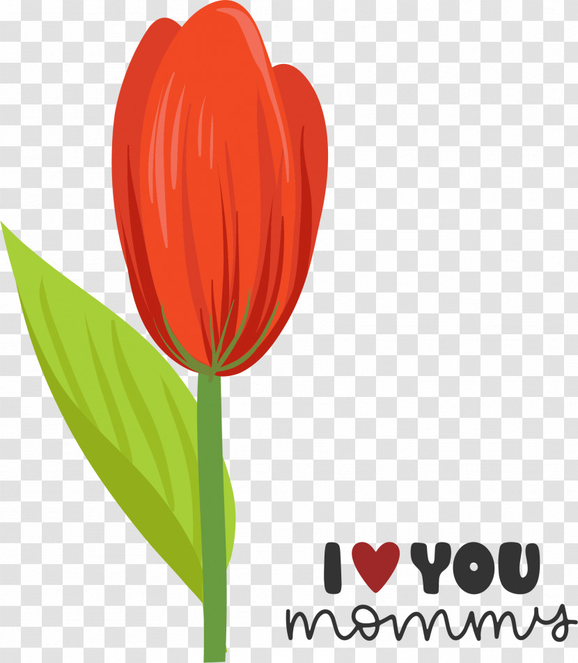 Plant Stem Cut Flowers M-095 Tulip Flower Transparent PNG