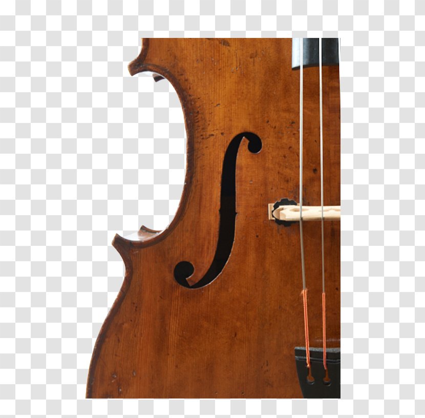 Bass Violin Double Violone Viola Octobass - Flower - Guitar Transparent PNG