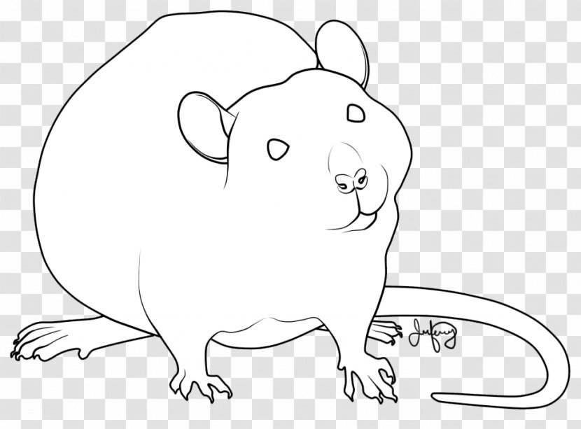 Rat Whiskers Drawing Line Art Clip - Tree Transparent PNG
