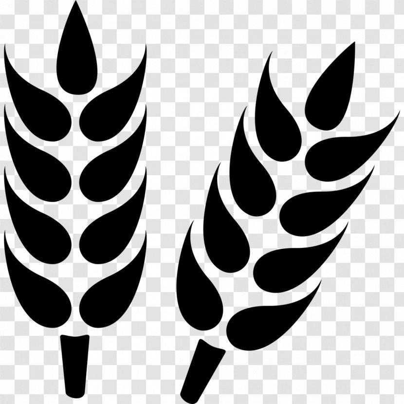 Clip Art Wheat Vector Graphics Grain - Ear - Agricultural Adjustment Act Logo Emaze Transparent PNG