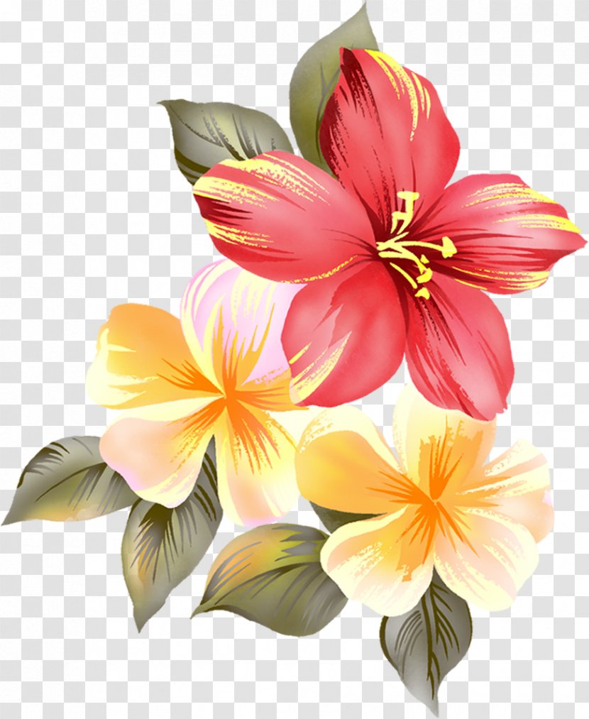 Evening Good Love Romance - Lily - Flower Transparent PNG