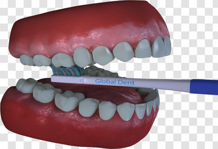 Tooth Dental Software Dentistry Computer - Windows 7 Transparent PNG