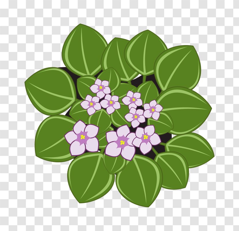 African Violets Clip Art Transparent PNG