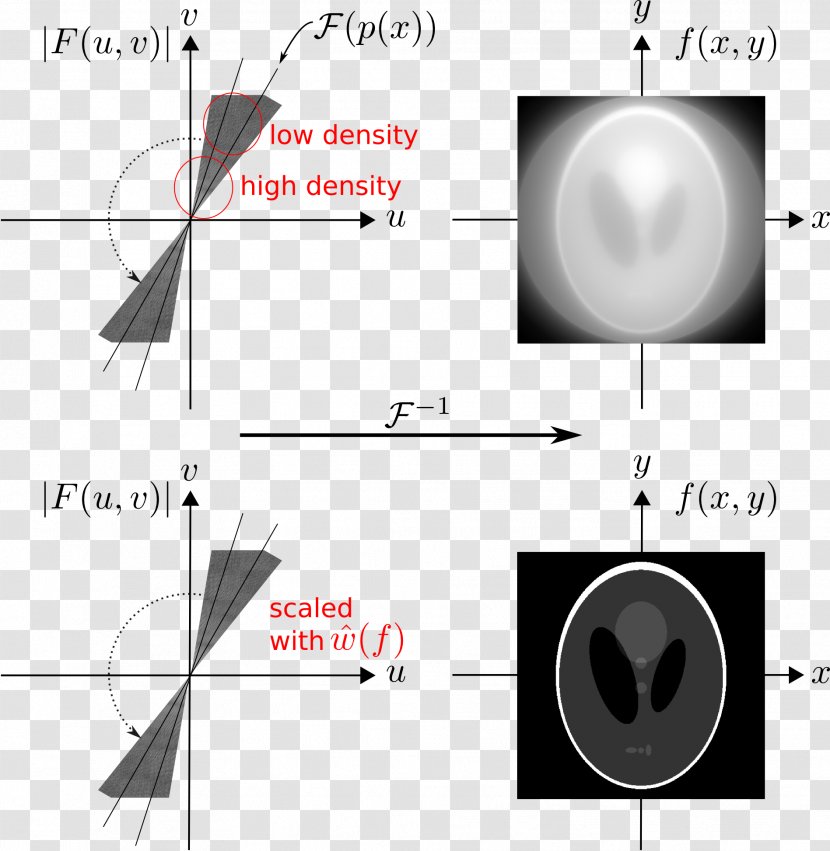 Light Line - Eye - Computed Tomography Transparent PNG