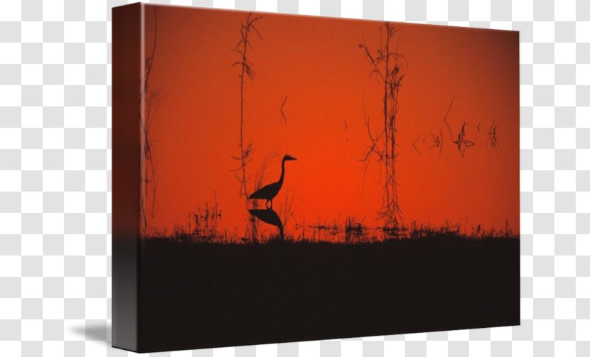 Painting Silhouette - Sunrise - Egret Poster Design Transparent PNG